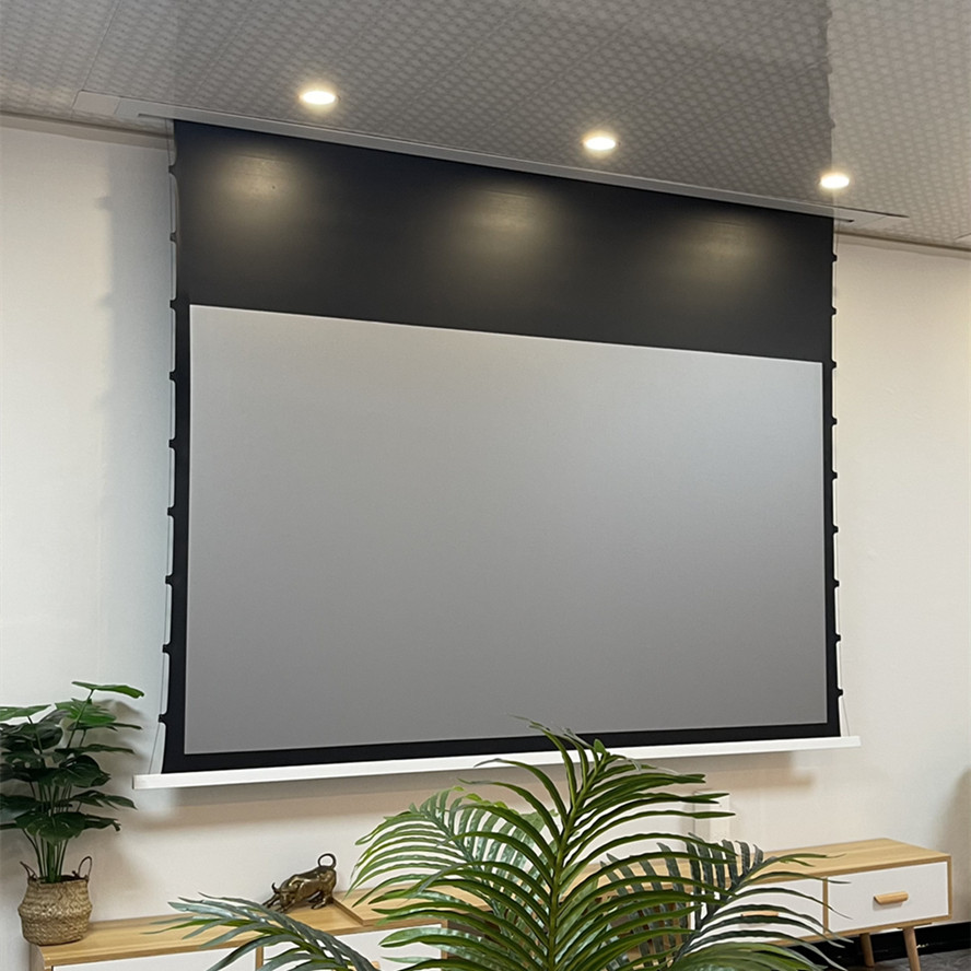 In-Ceiling Projection Screen image 3