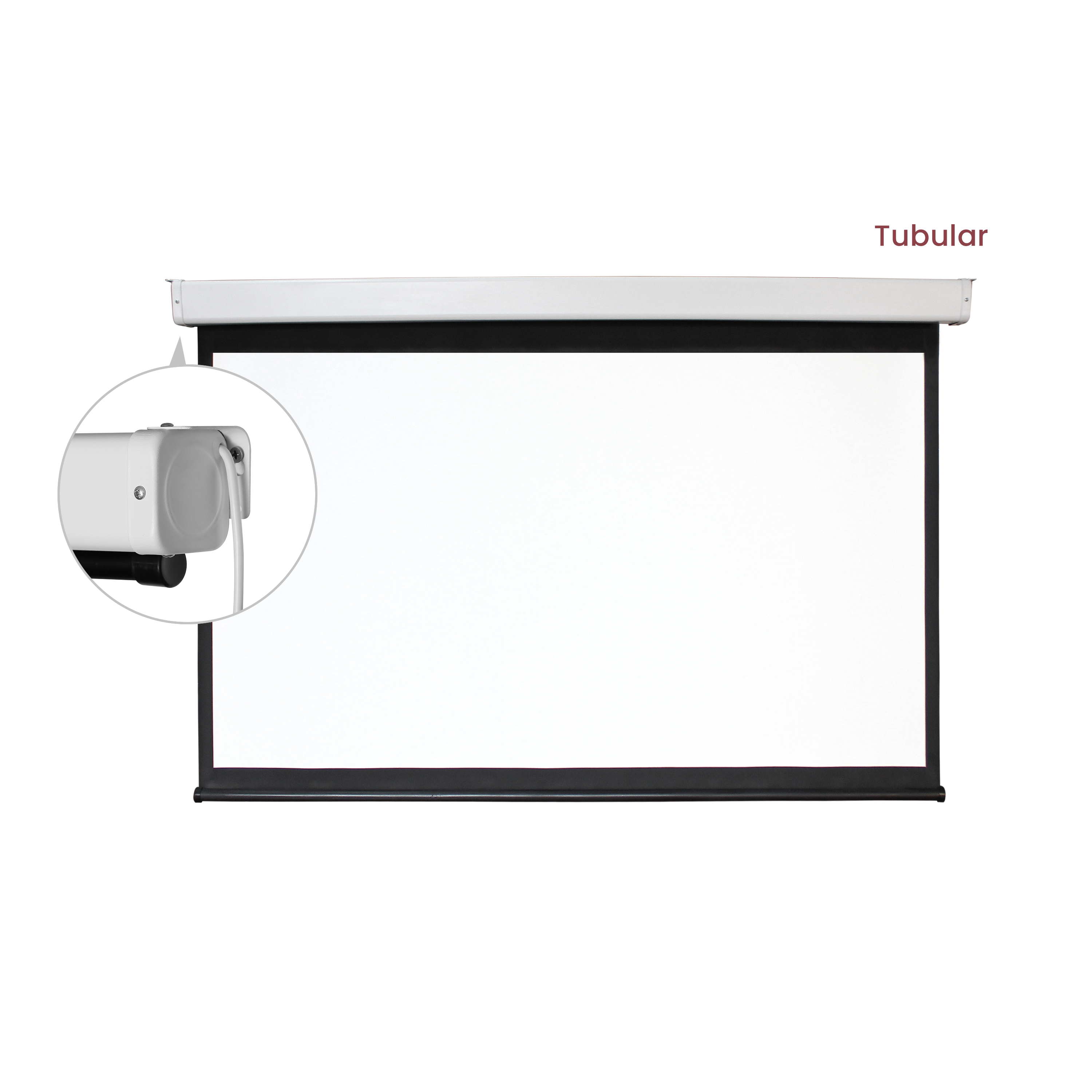 Motorized Projection Screen image 4